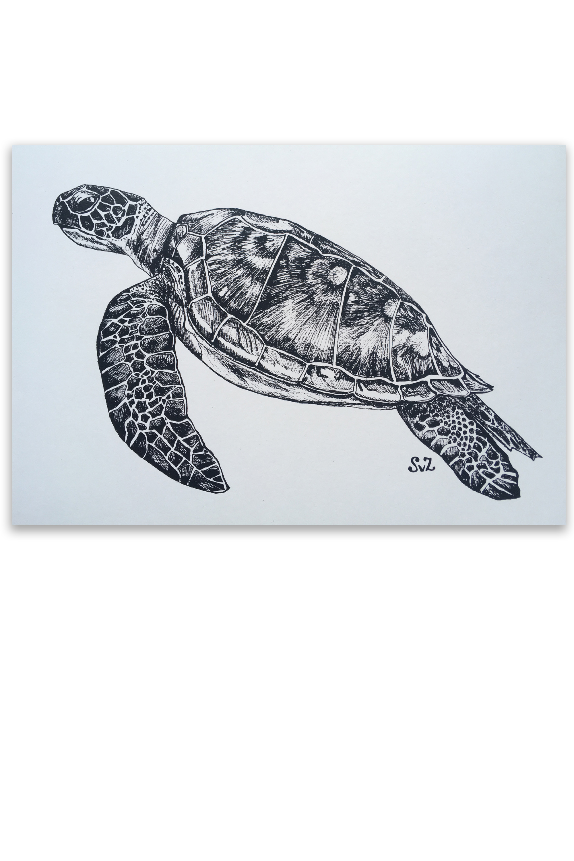 Artwork, inkt, zeeschildpad, Waterkunst