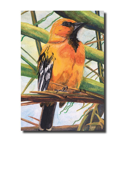 verkoop, illustratie