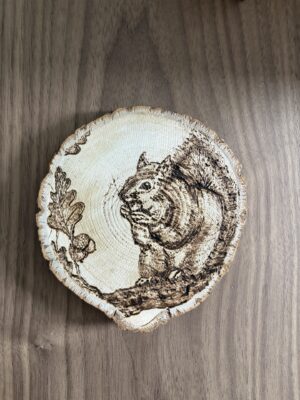 Eekhoorn op berk, houtbranden